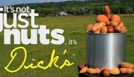 dicks-nuts