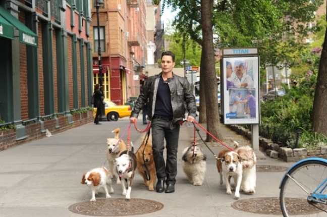 Day job in primetime: Justin Silver goes “Funny For Fido,” hosts “Dogs in the City” on CBS