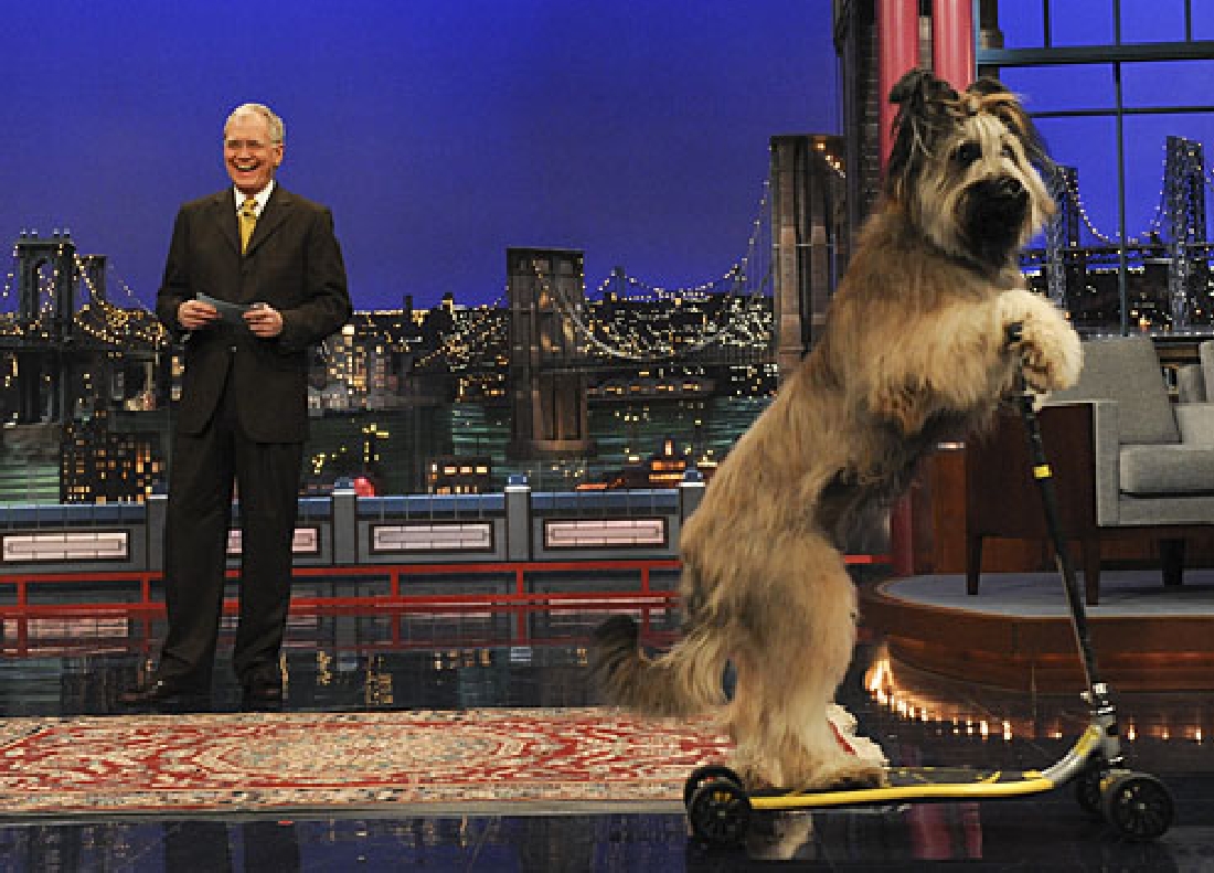 Worldwide Pants Reboots Stupid Pet Tricks For TBS With Sarah Silverman Hosting